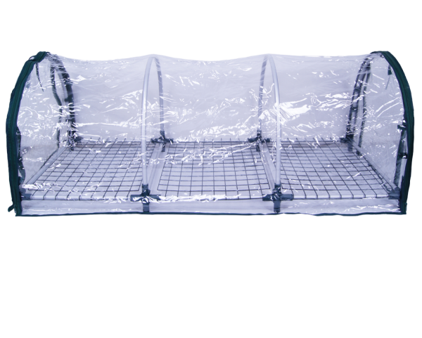 Bio Green Jumbo Propagator