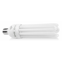 Elektrox Energiesparlampe 125W Dual