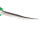 Romberg Crop Scissor Curved