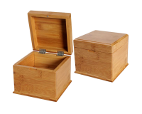 Storage Box with secret Tray
