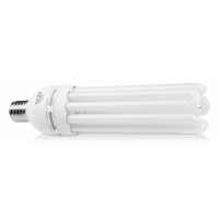 Elektrox Energiesparlampe 125W Blüte