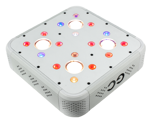 Greenception Cluster LED GC 4 128W