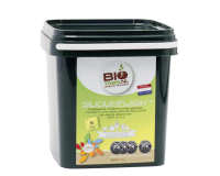 BioTabs Silicium Flash 2,5L