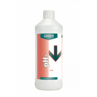 Canna pH- Blüte 10% 1L