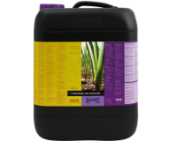 B`Cuzz 1-Component Soil Nutrition 10L