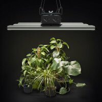 Greenception Cluster LED GC 4 128W