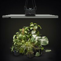 Greenception GCx 16 LED PWR 640W