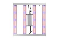 Hydroca LED Blue Line 140