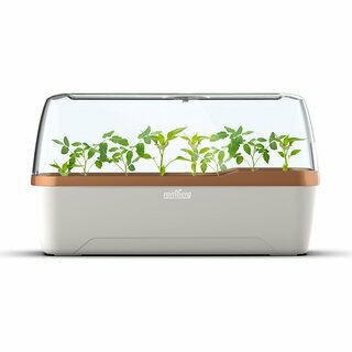 Romberg Gewächshaus BoQube L creme