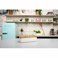 Romberg Gewächshaus BoQube L creme