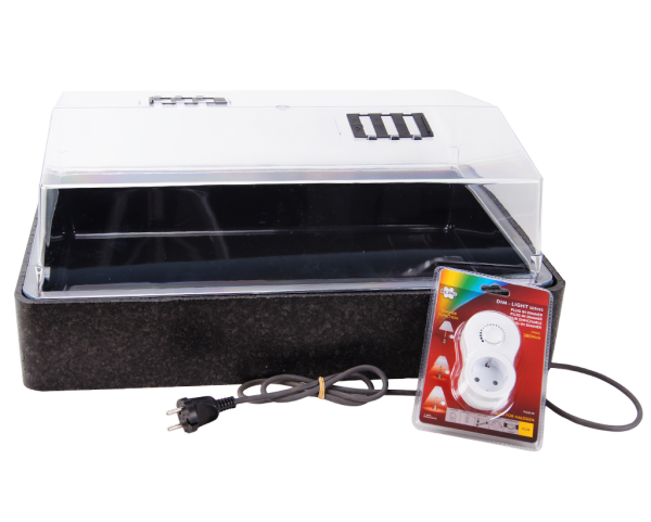 Large Propagator with heating