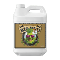 Advanced Nutrients Big Bud Coco 5L