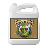 Advanced Nutrients Big Bud Coco 10L