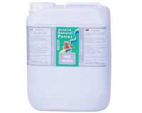 Advanced Hydroponics Root Stimulator 5L